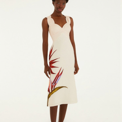 Sand Strelitzia Midi Dress