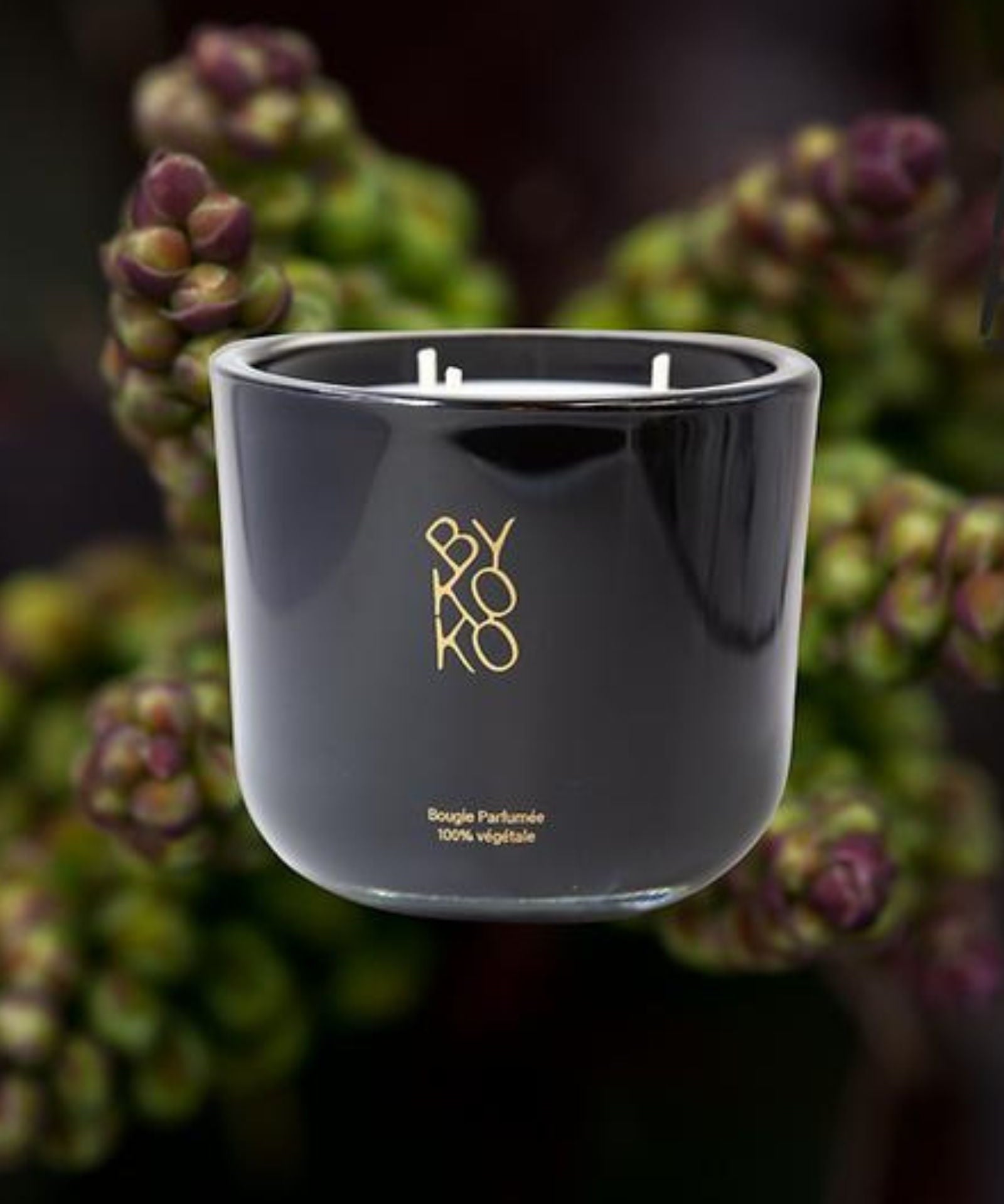 Bykoko Havana Lovers 1kg Prestige Edition candle in a large hand-poured black glass vessel. A luxury statement piece for large living spaces.
