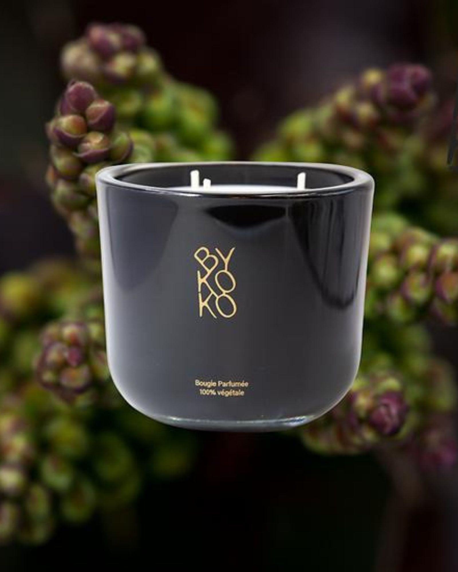Bykoko Havana Lovers 1kg Prestige Edition candle in a large hand-poured black glass vessel. A luxury statement piece for large living spaces.